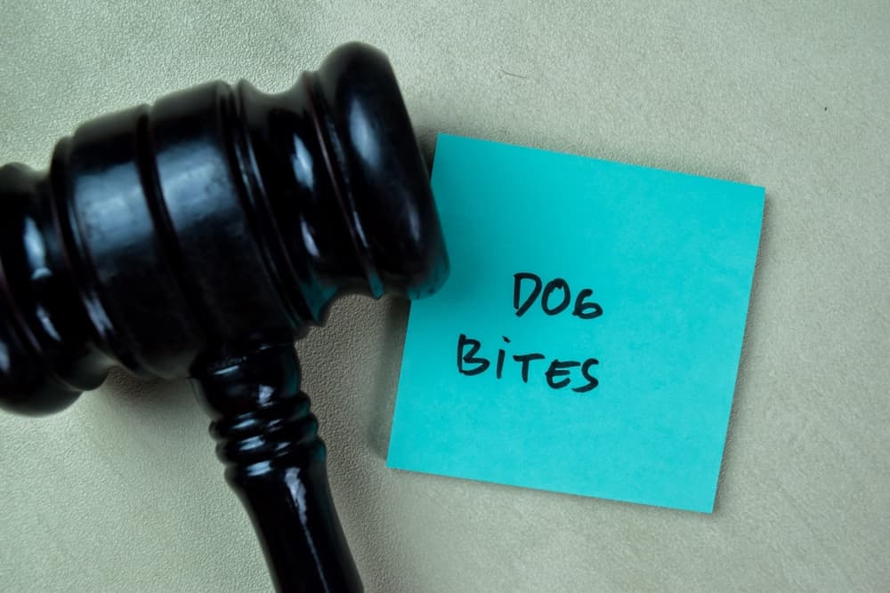 Judges' gavel and a piece of paper written dog bite